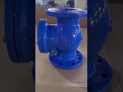 Wody Swing Check Valve twarz do twarzy DIN3202-F6