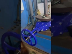 DIN3352-F4 Odporne miękkie zaworki wejściowe z podnoszącymi się siedzibami