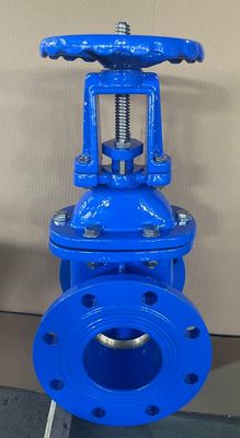 ANSI Flanged Metal Seat Gate Valve DN50-DN300 Cast Iron