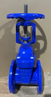 DIN3352-F4 Odporne miękkie zaworki wejściowe z podnoszącymi się siedzibami